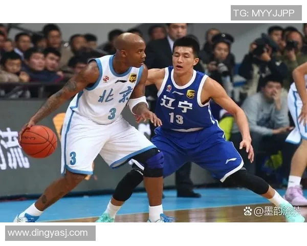 2013至2014赛季CBA辽宁队与福建队精彩对决回顾与分析